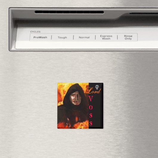 LORD VOSS – マグネット (インサイチュ (食洗機))