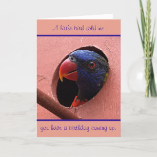 lorikeetのバースデー・カード カード