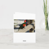 Lorikeetのメッセージカード カード (裏面)
