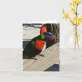 Lorikeetのメッセージカード カード (黄色い花)