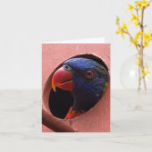 lorikeetのnotecard (こんにちは) カード (黄色い花)