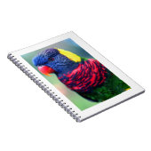 Lorikeet#1ノート ノートブック (右側)