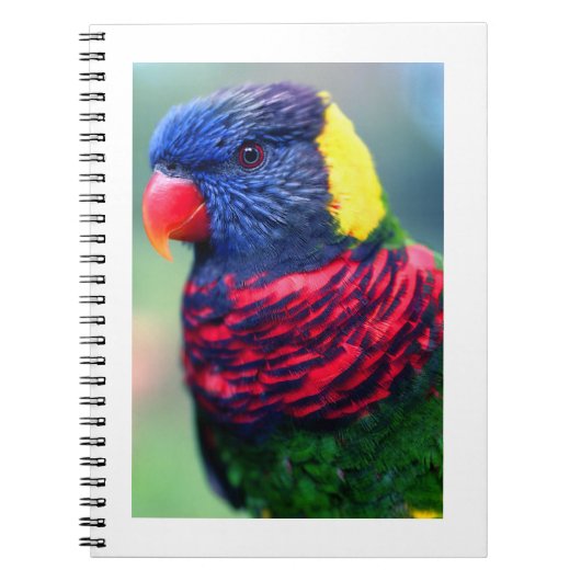 Lorikeet#1ノート ノートブック (正面)