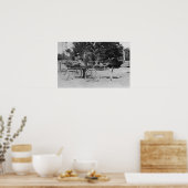 Los Angeles, CA Ostrich Farm Cart Scene ポスター (キッチン)