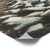 Los Angeles, CaliforniaView of a Pigeon Farm ポスター (角)