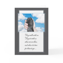 Loss of a Dog Hand Holding a Paw Pet Sympathy