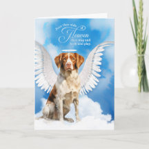 Loss of Dog Brittany Spaniel Pet Sympathy