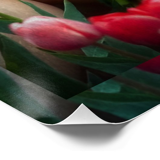 Lost in a Sea of Crimson ポスター (コーナー)