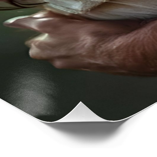 Lost in a Summer's Embrace ポスター (コーナー)