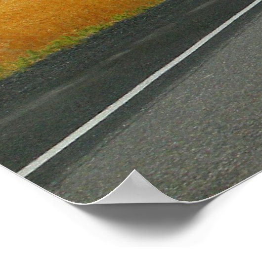 Lost in America ポスター (角)