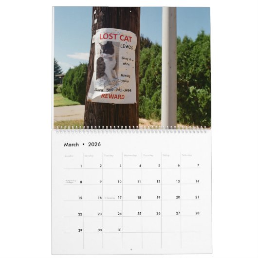 Lost Lewis Calendar カレンダー (3月 2026)