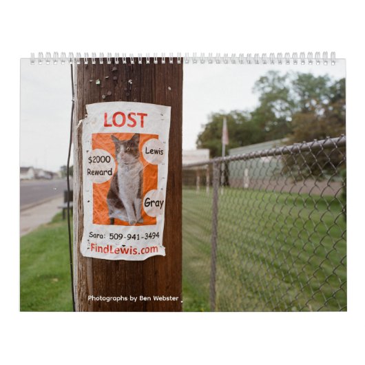 Lost Lewis Calendar カレンダー (カバー)