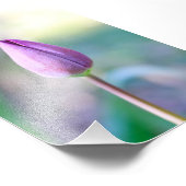 Lotus フォトプリント (角)