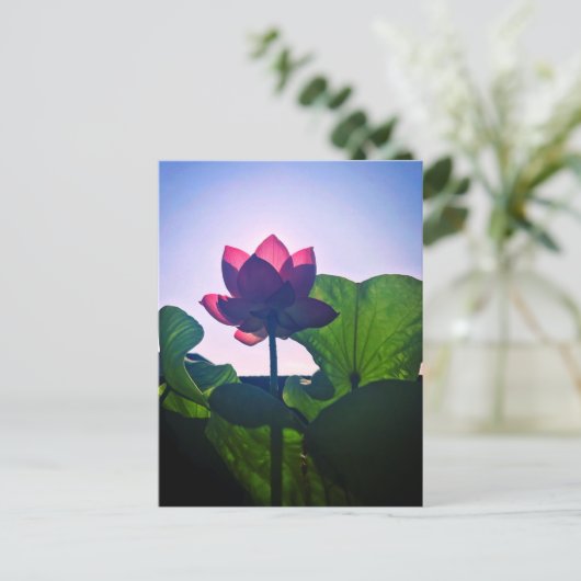 Lotus ポストカード (スタンド正面)