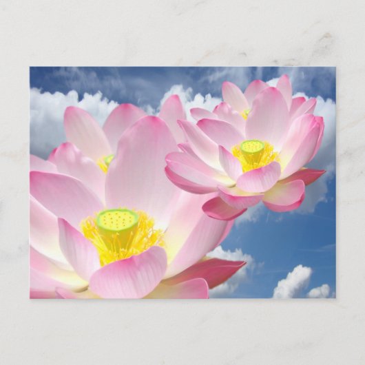 Lotus Blossomのみ+テキストとアイディア ポストカード (正面)