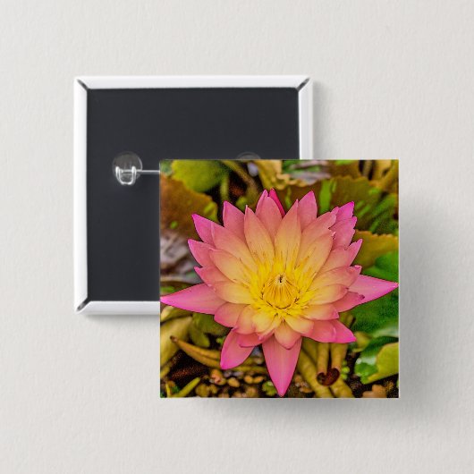 Lotus-Blume 缶バッジ (正面&裏面)