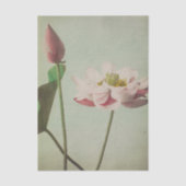 Lotus by Ogawa Kazumasa 薄葉紙 (正面)