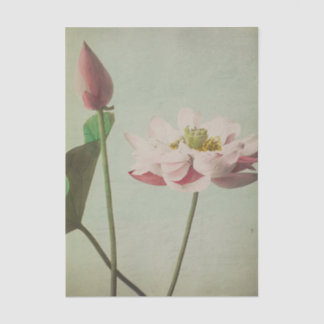 Lotus by Ogawa Kazumasa 薄葉紙