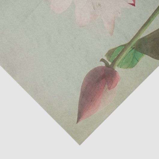 Lotus by Ogawa Kazumasa 薄葉紙 (詳細)