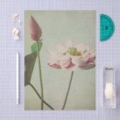 Lotus by Ogawa Kazumasa 薄葉紙 (クラフト)