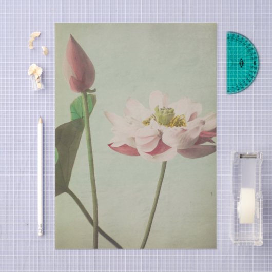 Lotus by Ogawa Kazumasa 薄葉紙 (クラフト)