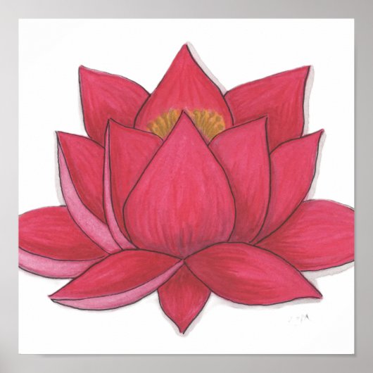 Lotus Flower ポスター (正面)