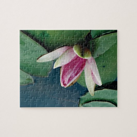 Lotus Flower 8x10写真パズルとギフトボックス ジグソーパズル (横)