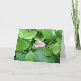 Lotus Flower- Folded Greeting Card カード