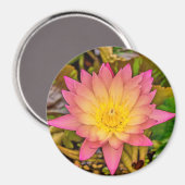 Lotus Flower of Life マグネット (正面/裏面)