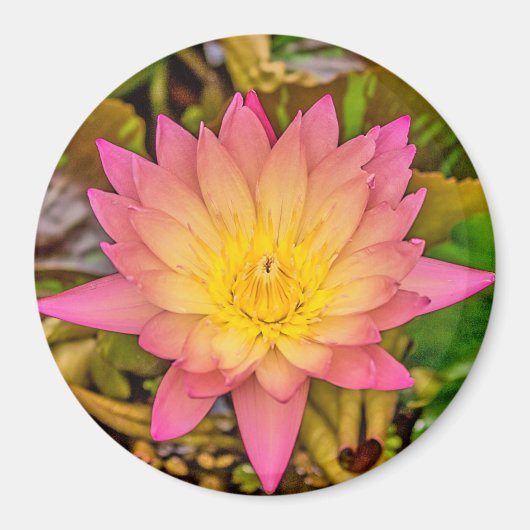 Lotus Flower of Life マグネット (正面)