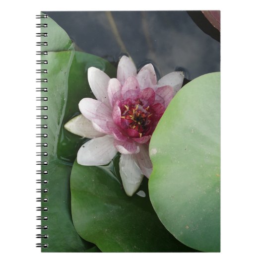 Lotus Flower Photoノートブック ノートブック (正面)