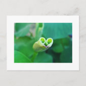 Lotus Heart ポストカード (正面)
