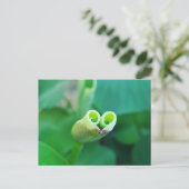 Lotus Heart ポストカード (スタンド正面)