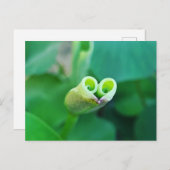 Lotus Heart ポストカード (正面/裏面)