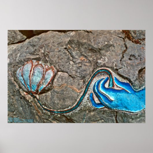 Lotus/Posterで手を引く ポスター (正面)