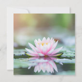 LOTUS - ZEN BUDDHISM - Greeting cards (裏面)