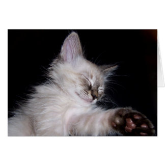 Louieの眠い眠りのスマイル