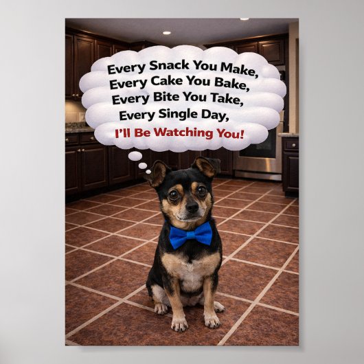 "Louie is Watching You" ポスター (正面)