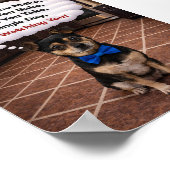 "Louie is Watching You" ポスター (角)