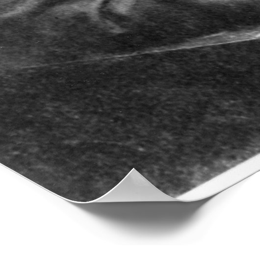 Louis Pasteur ポスター (角)