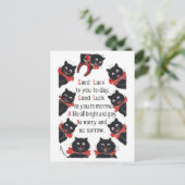 Louis Wain Cats ポストカード (スタンド正面)