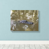 Louisiana Alligator キャンバスプリント (インサイチュ (ウッドフロア))