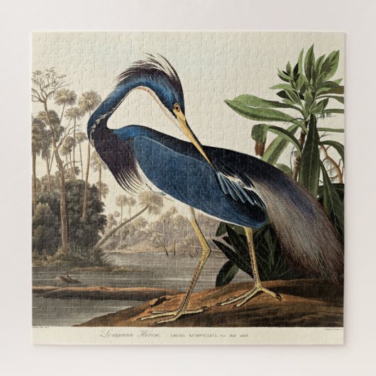 Louisiana Heron from Birds of America ジグソーパズル (縦)