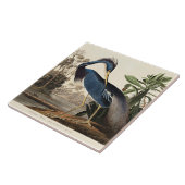 Louisiana Heron from Birds of America タイル (側面)