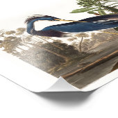 Louisiana Heron from Birds of America (1827) フォトプリント (角)