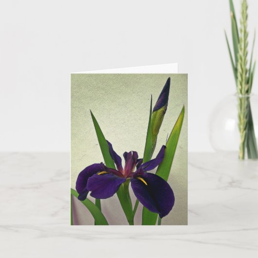Louisiana Iris Note Card カード (正面)