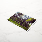 Louisiana Oak Tree Postcard 箔シーズンポストカード (回転した状態)