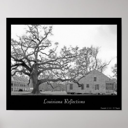 Louisiana Reflections ポスター (正面)