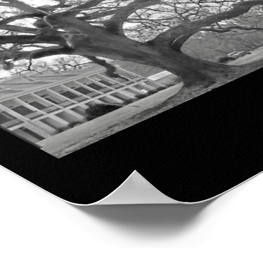 Louisiana Reflections ポスター (角)