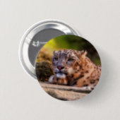 Loungingヒョウ 缶バッジ (正面&裏面)